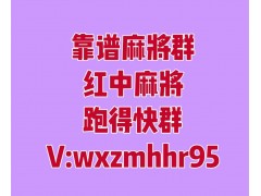 马牛羊，微信广东麻将群一元一分